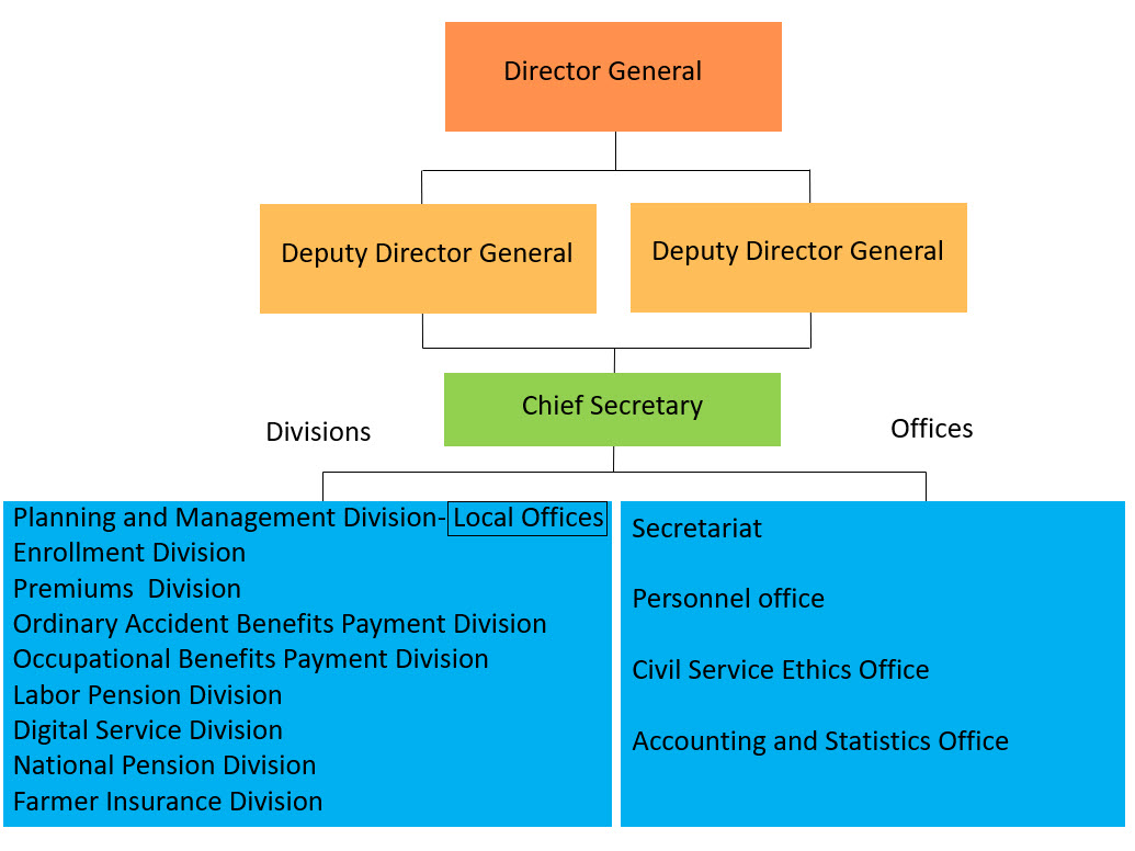 New Organization chart