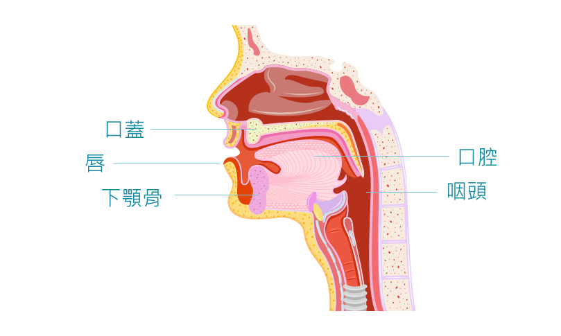 口
